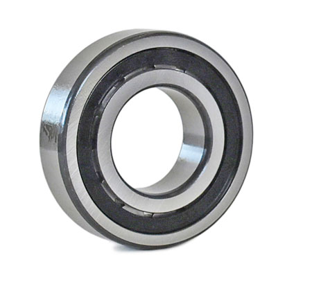 Picture: Datail view Cylindrical roller bearing NJ 206