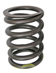 picture of article Valve spring outside