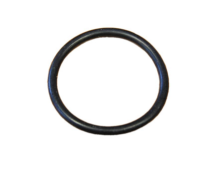 picture of article Sealing ring for fuel pump
